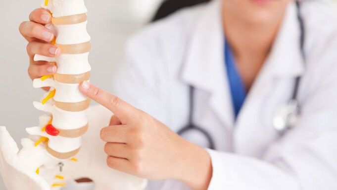 Explicația osteocondrozei lombare folosind un model al coloanei vertebrale